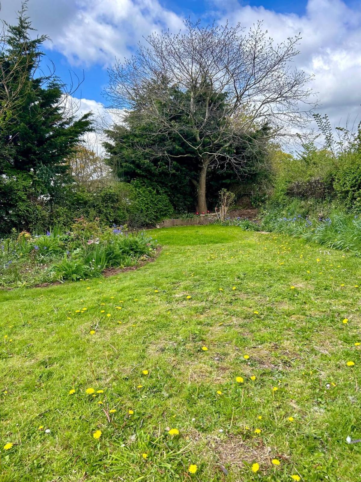 Sundial Cottage Newton Abbot Buitenkant foto